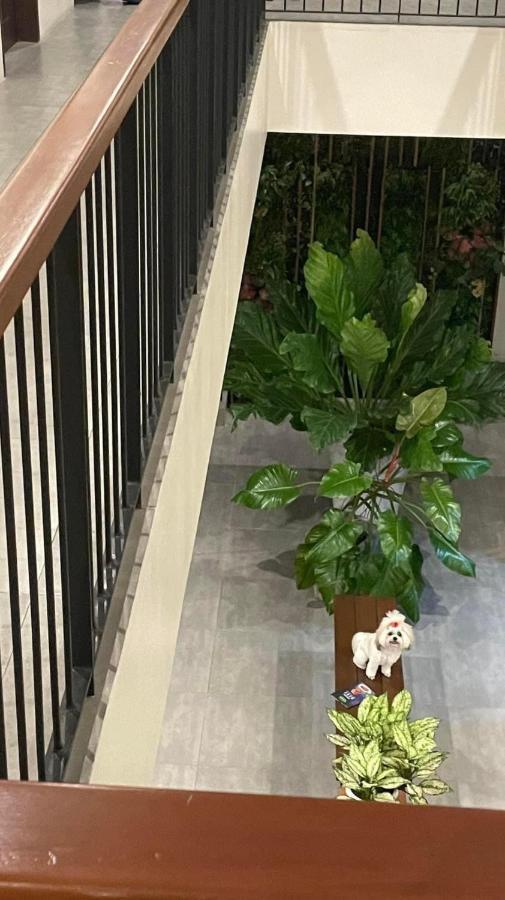 A&E Apartelle Bacolod Buitenkant foto